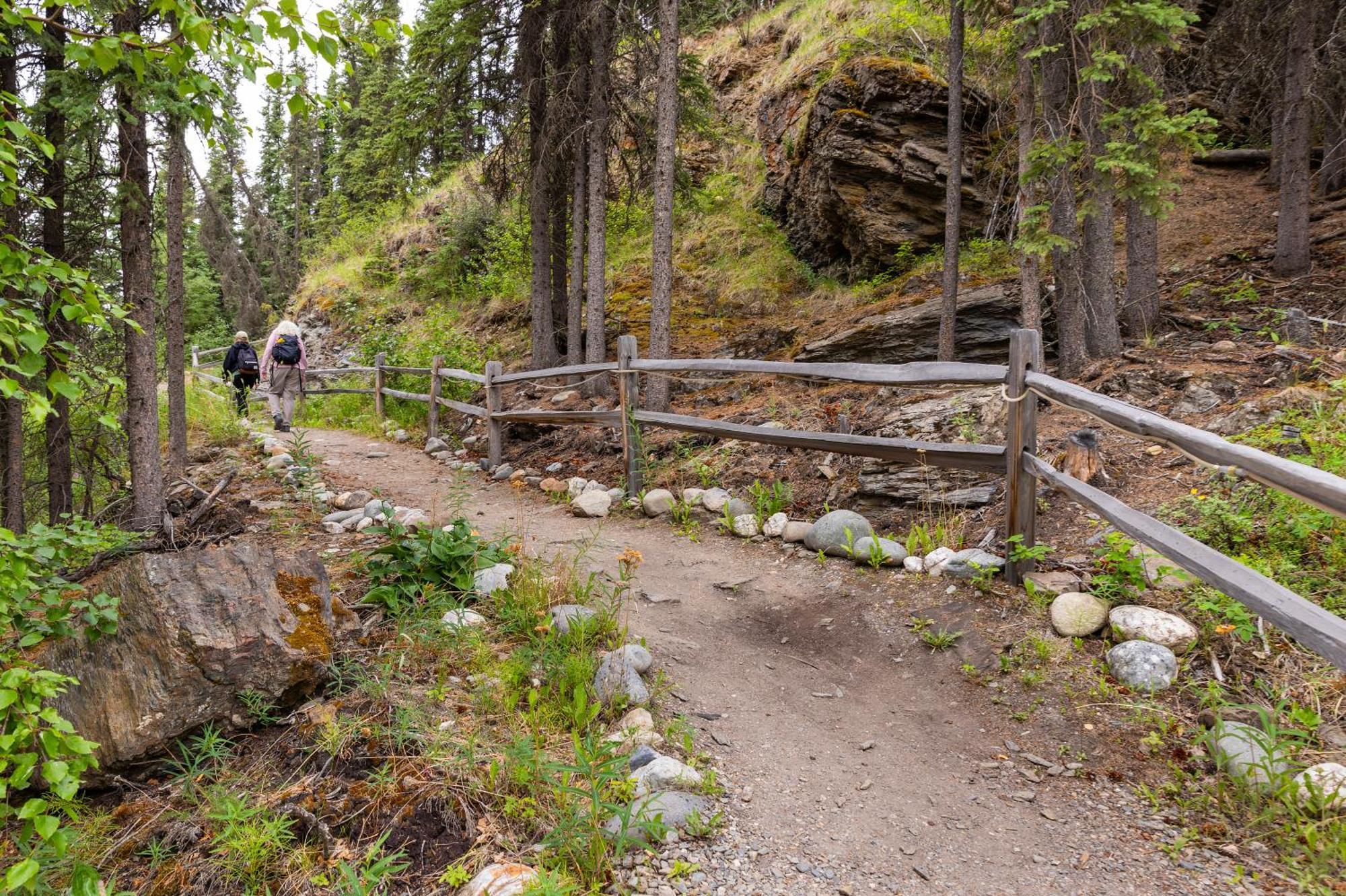 Denali Crow'S Nest Cabins Denali Park Экстерьер фото