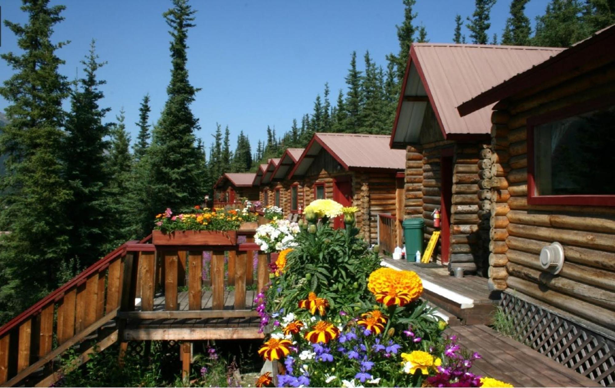 Denali Crow'S Nest Cabins Denali Park Экстерьер фото